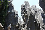云南石林风景