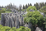 云南石林风景