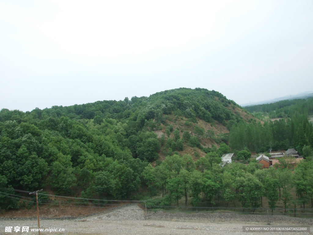 小山和树林