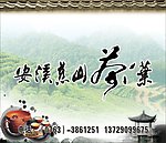 安溪慈山茶叶