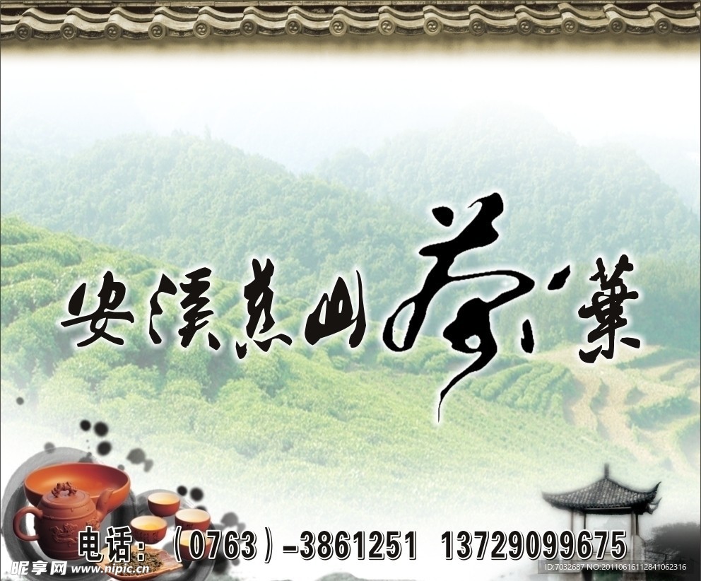 安溪慈山茶叶