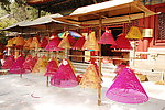 北京潭柘寺