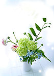 花壁画