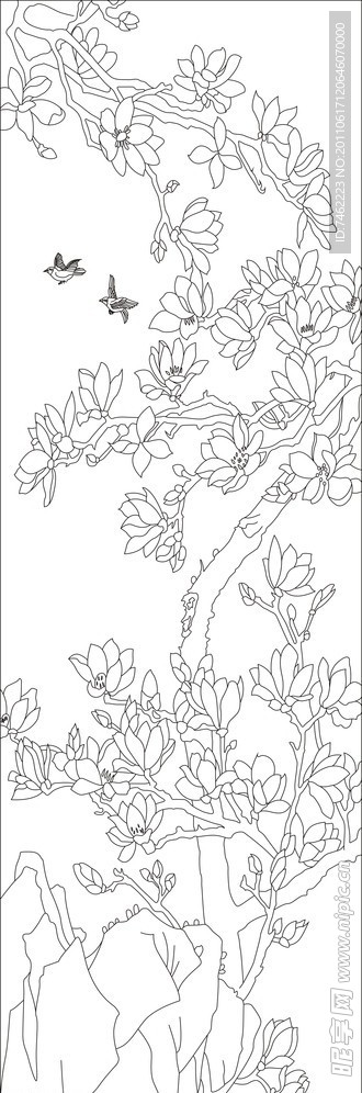 玉兰