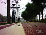 单车
