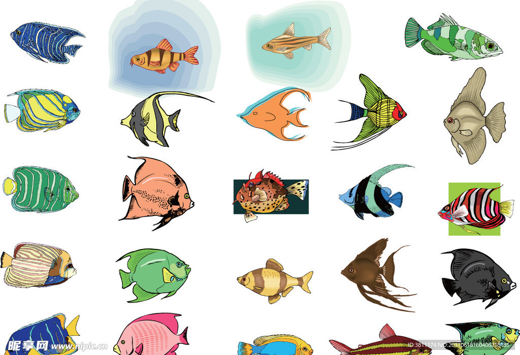 海洋魚