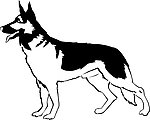 犬狗