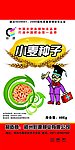 小麦种子