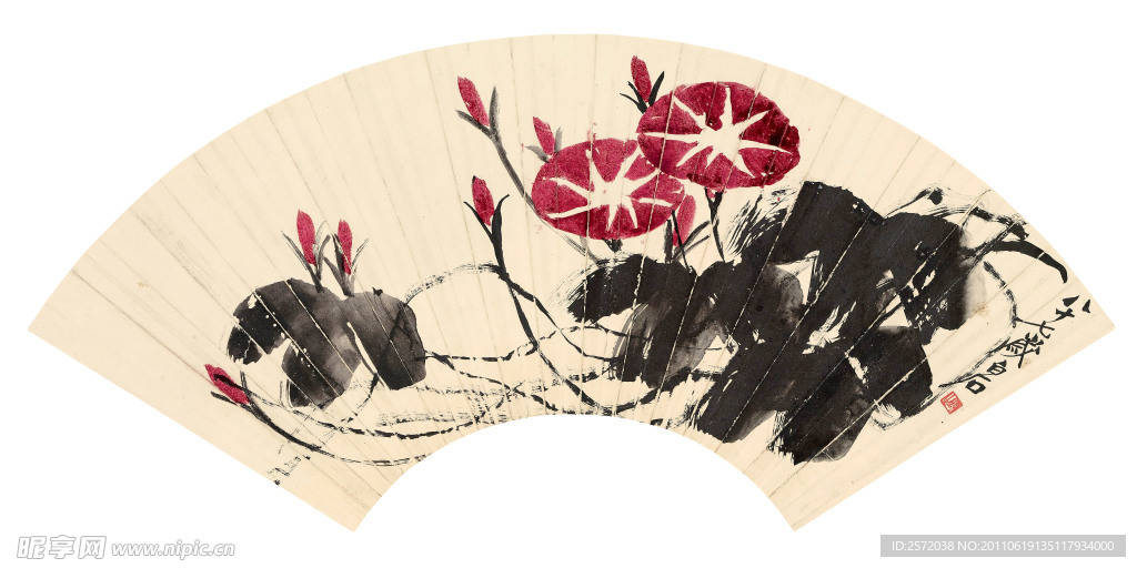 牵牛花