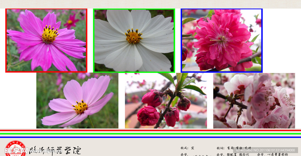 临沂师范学院（临沂大学）明信片