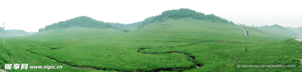 关山 牧场