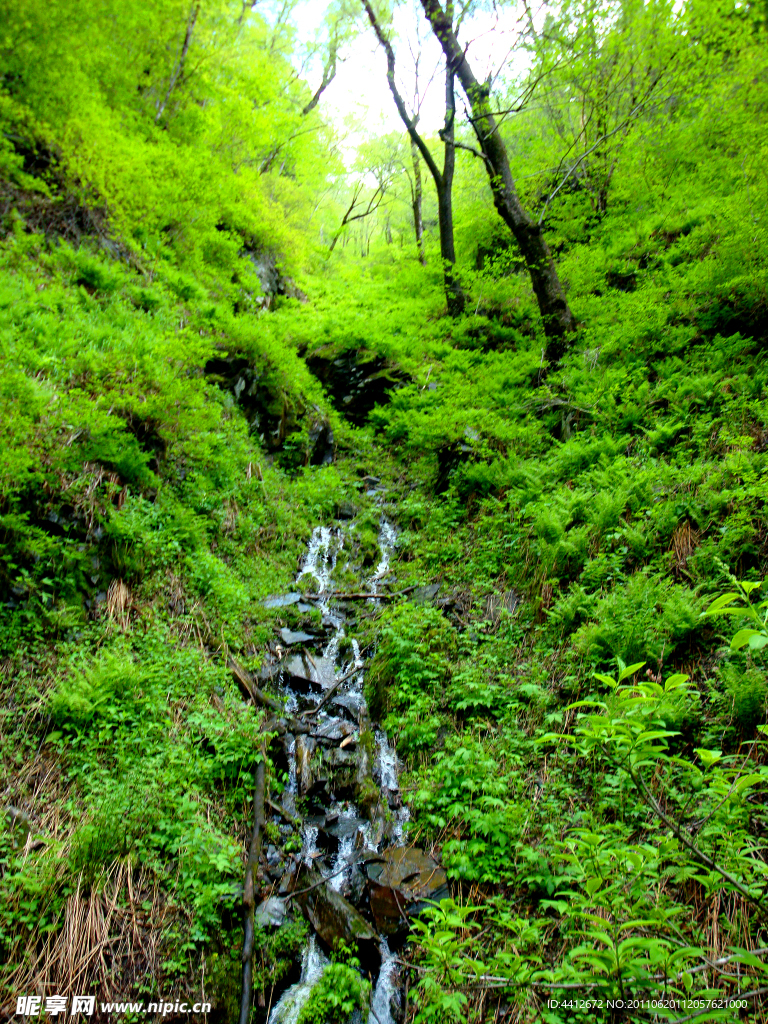 五常凤凰山 大峡谷 小瀑布