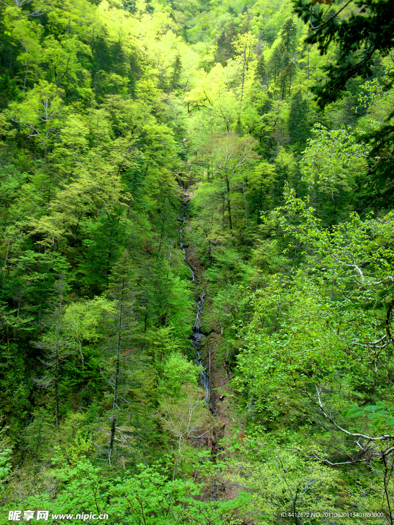 五常凤凰山 大峡谷 山涧