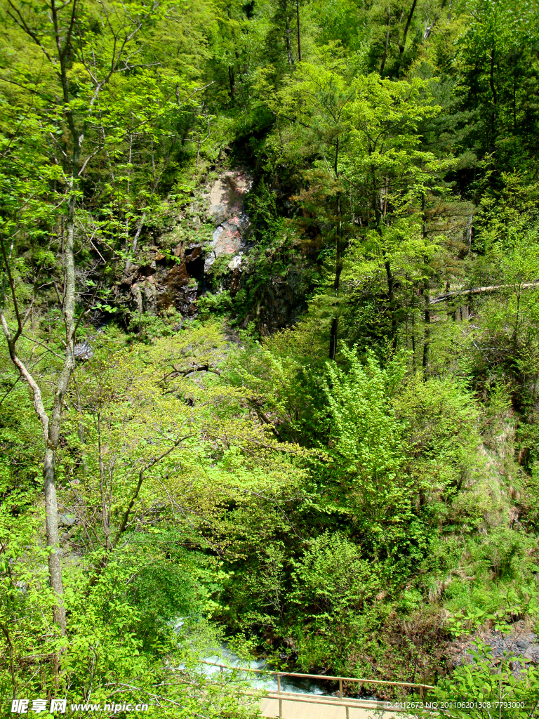 五常凤凰山 大峡谷 山涧