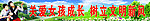 计生宣传标语