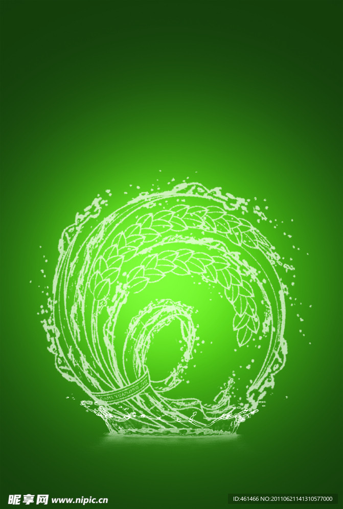 水稻