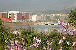 安庆大学