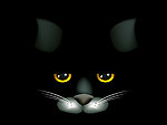 黑猫