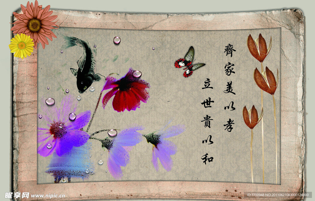 画框鱼蝴蝶花