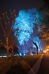南京玄武湖LED照明亮化工程