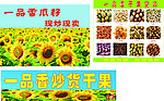 一品香瓜子