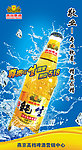 纯生啤酒