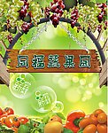 蔬果园