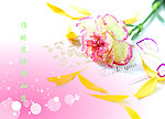 花语素材