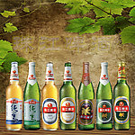 珠江六瓶啤酒