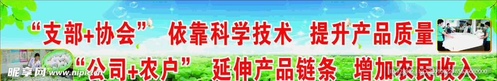 蚕桑产业标语