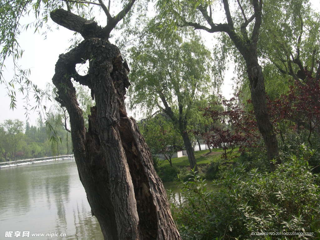 风景
