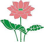 莲花