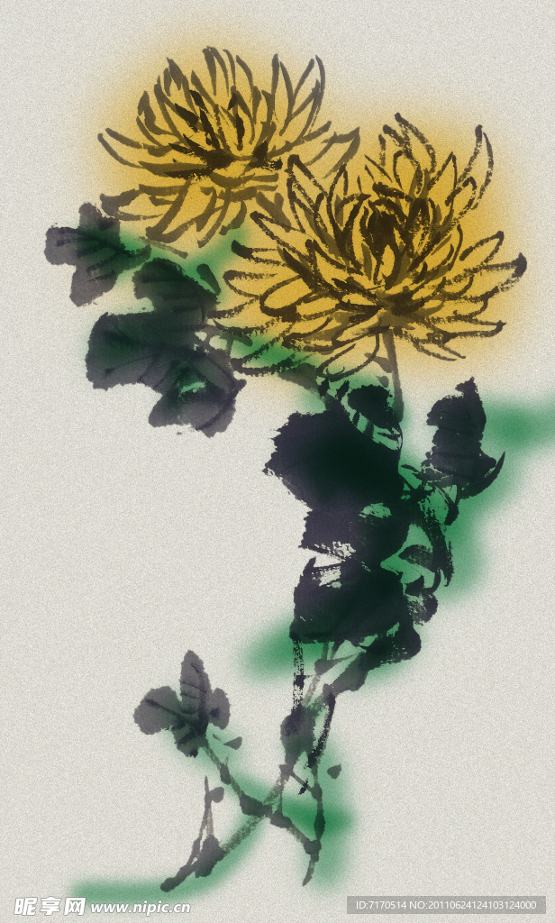 菊花