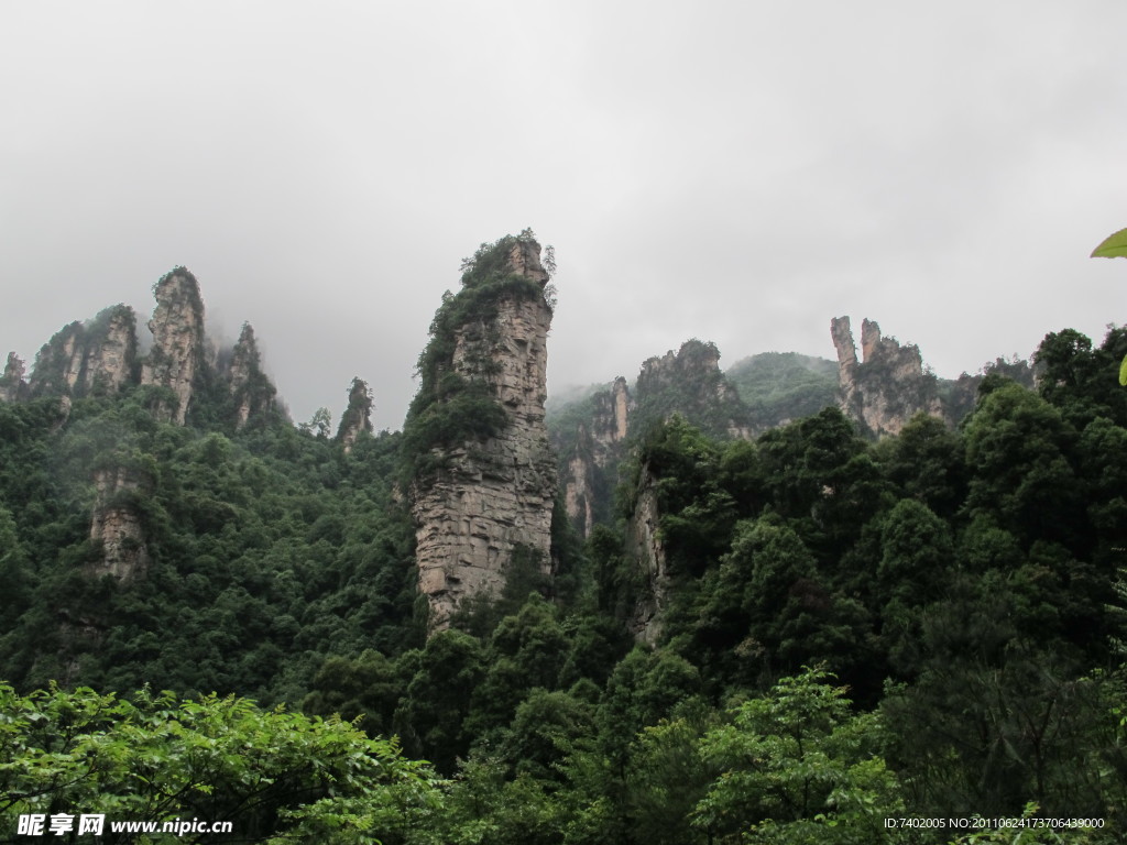 雨中林海