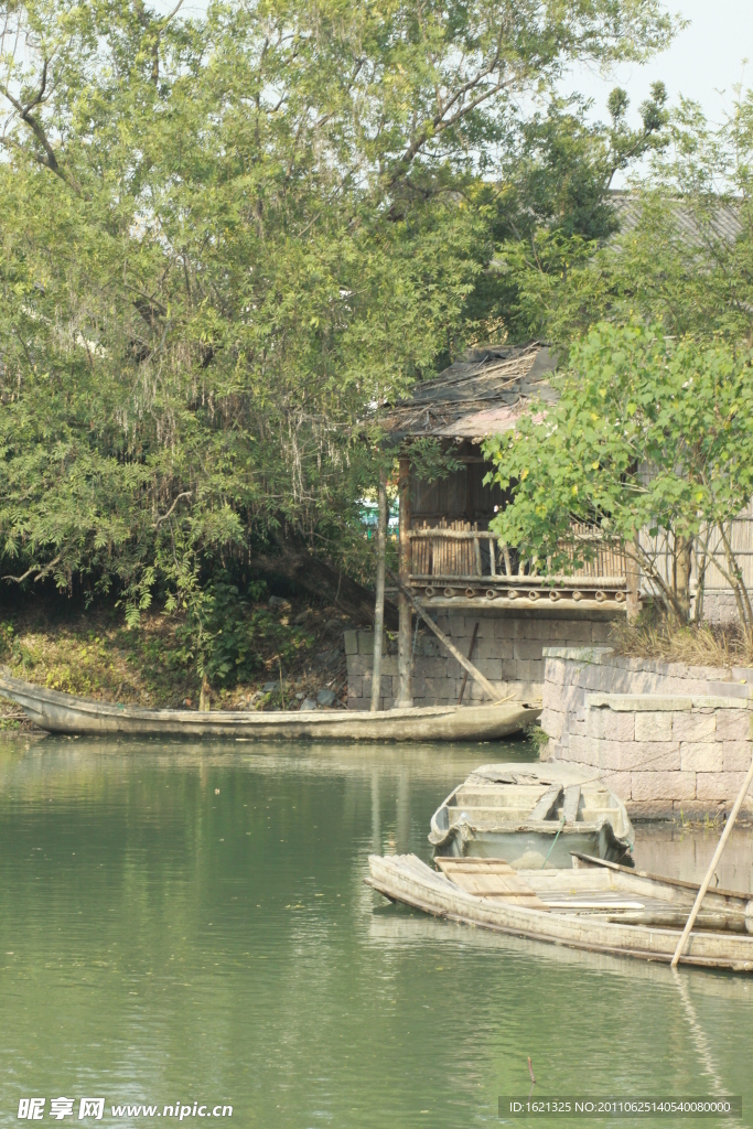 湿地绿景