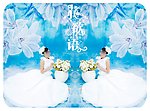 婚纱摄影模板