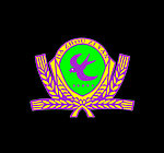 加州飞燕