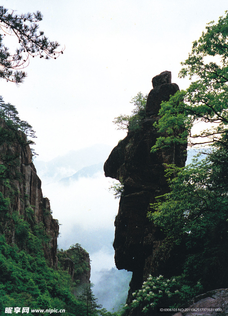 风景