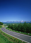 道路美景