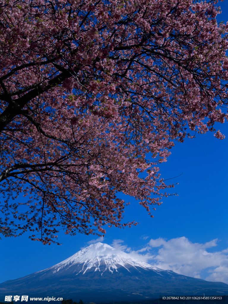 雪山