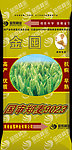 小麦种子包装（效果图）