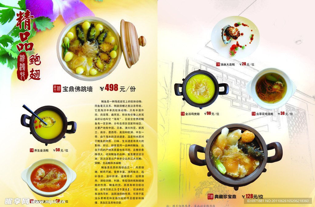 鲍翅