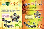 视觉艺术