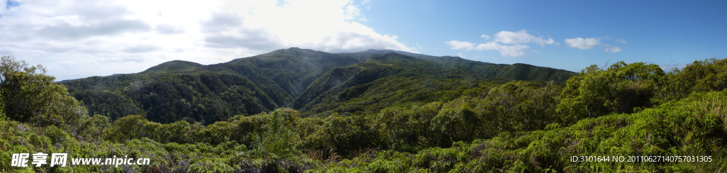 高山全景