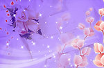 背景上传