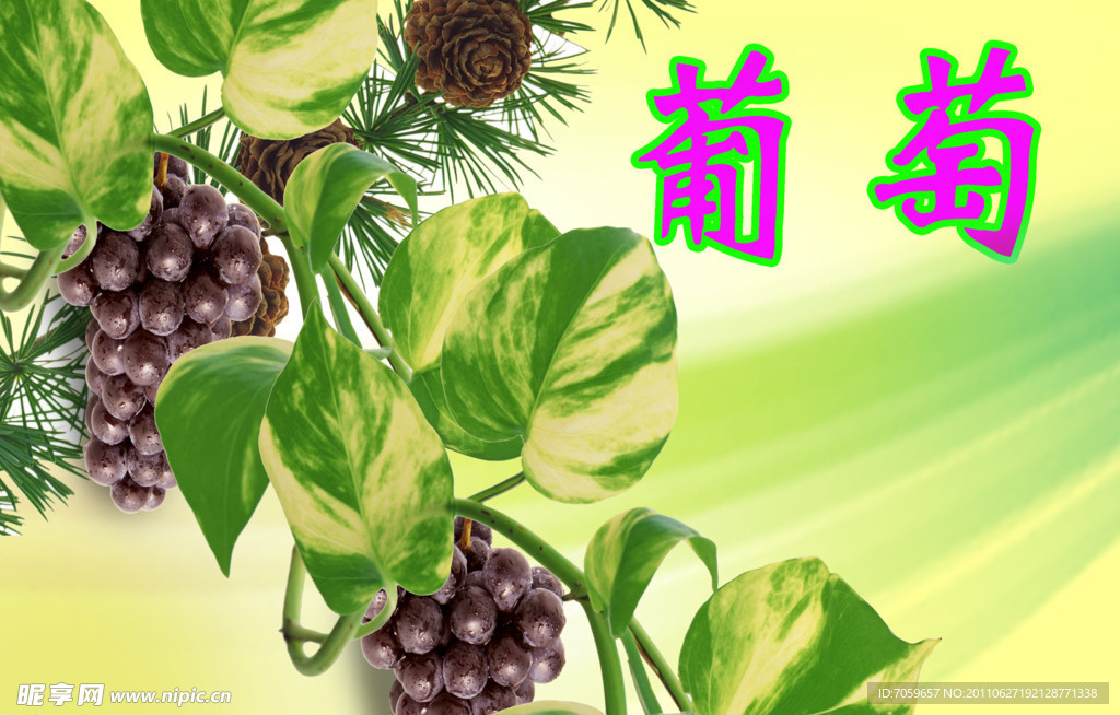 葡萄