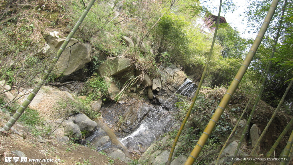 竹林山水