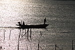 夕阳渔归