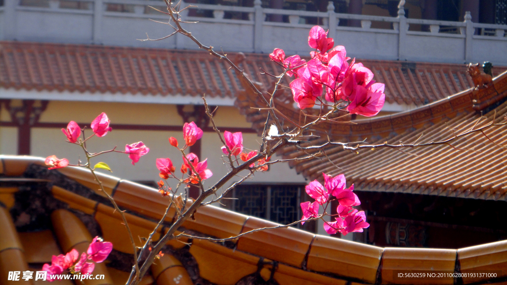 深圳仙湖植物园弘法寺