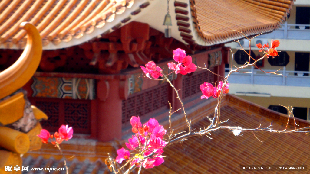 深圳仙湖植物园弘法寺